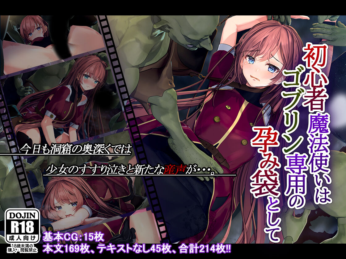 Shoshinsha Mahoutsukai wa Goblin Snyou no Harami Bukuro to Shite page 1 full